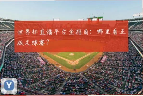 世界杯比赛直播在哪里看？正版渠道指南