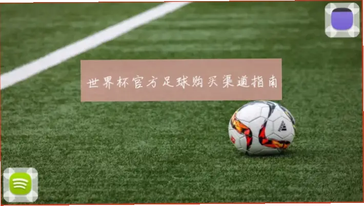 世界杯在哪里买？官方渠道最可靠